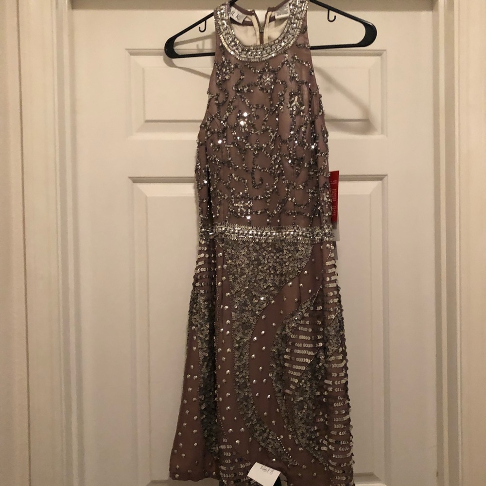 A handmaid SHAIL K garment dress.